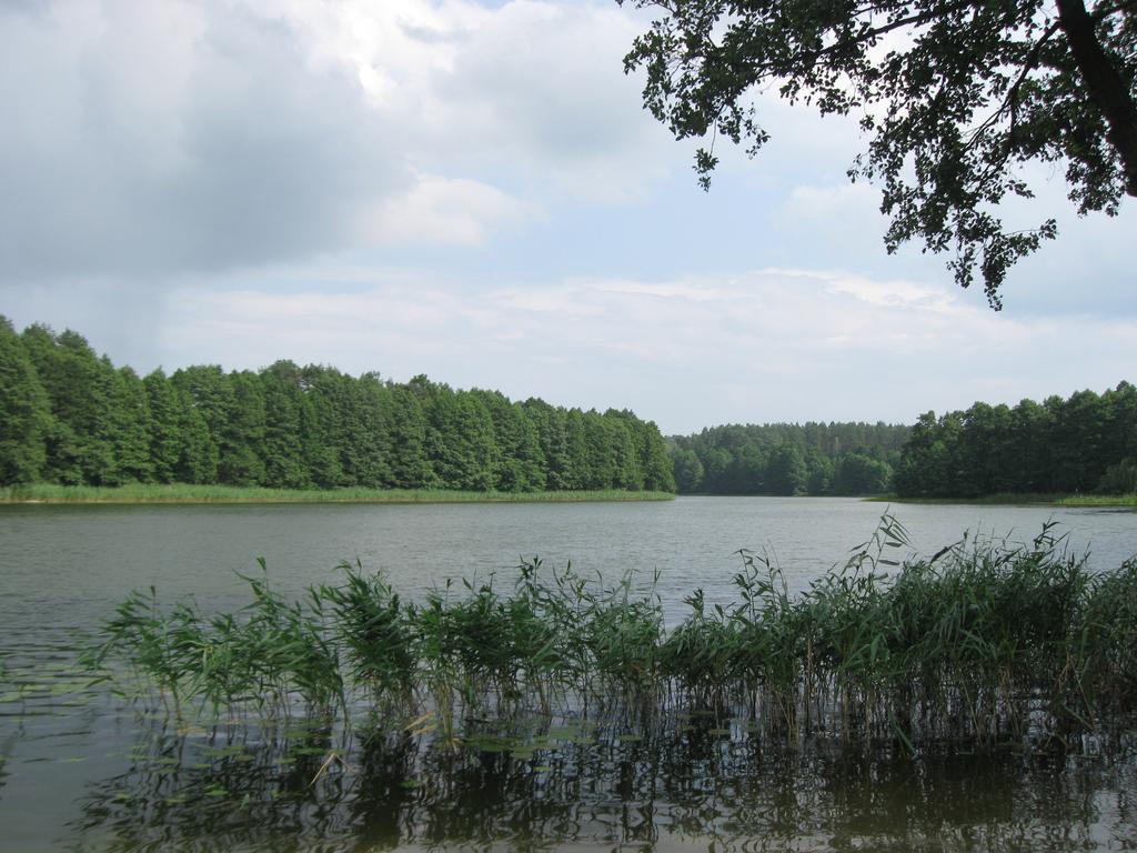 MikołajkiMleczarnia Z Prywatnym Jacuzzi别墅 外观 照片